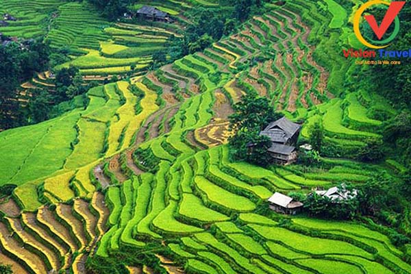 Nam Son village