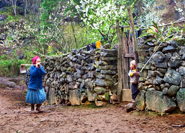 Stone Fence in Dong Van Plateau