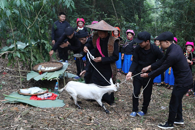 Ceremony to worship the forest god of the Pu Peo ethnic group