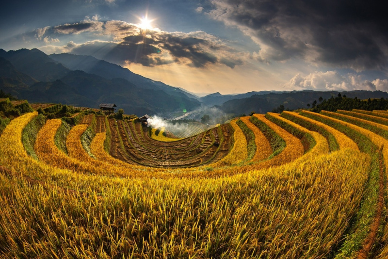 Top 7 best place in northern Vietnam for admiring ripening rice fields
