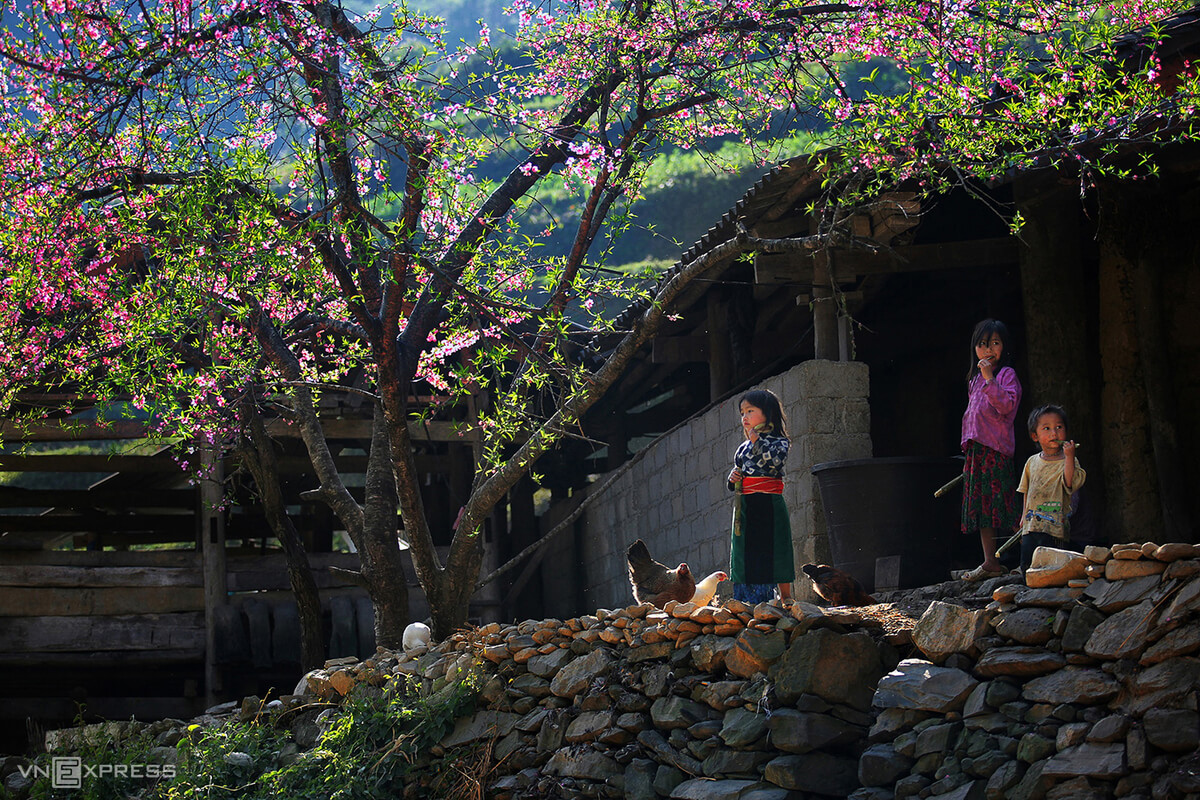 Northern mountainous plateau bursts with spring hues