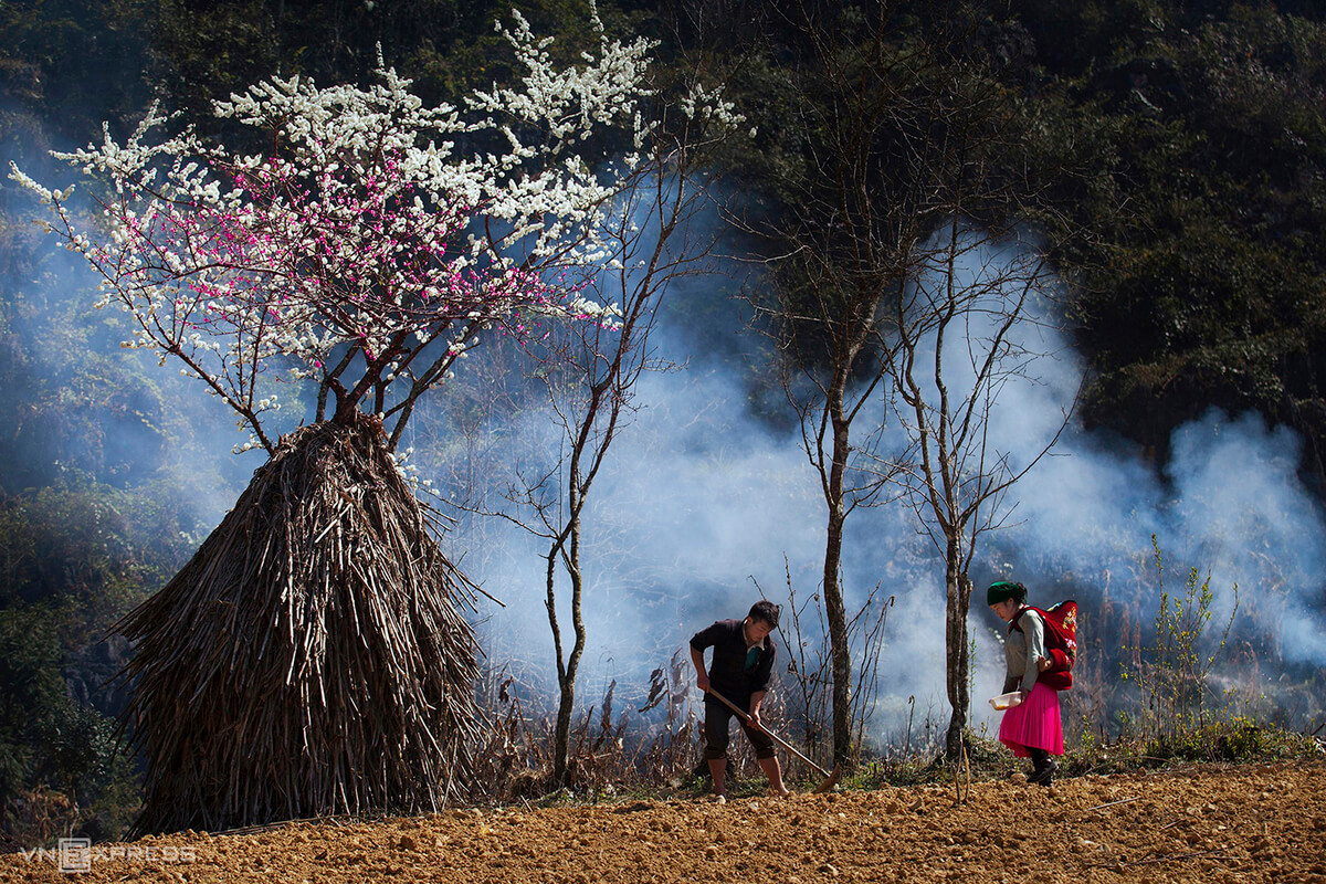 Northern mountainous plateau bursts with spring hues