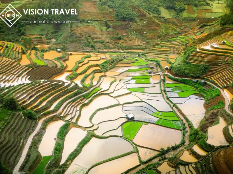 Mu Cang Chai Flooded Season – Peaceful Beauty in May & June