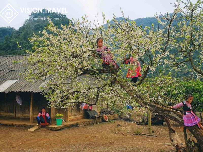 Explore Phieng Canh Village – A Hidden Gem in Moc Chau’s Mountains