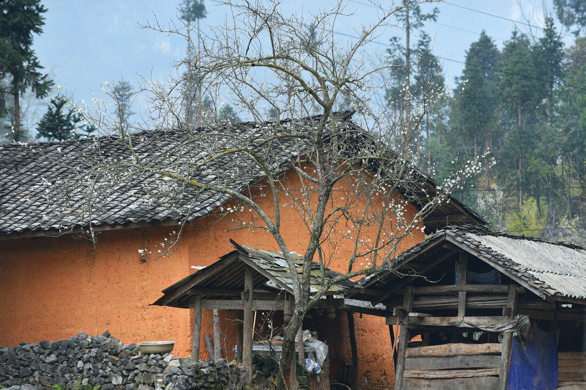 Spring in Pho Bang ancient town