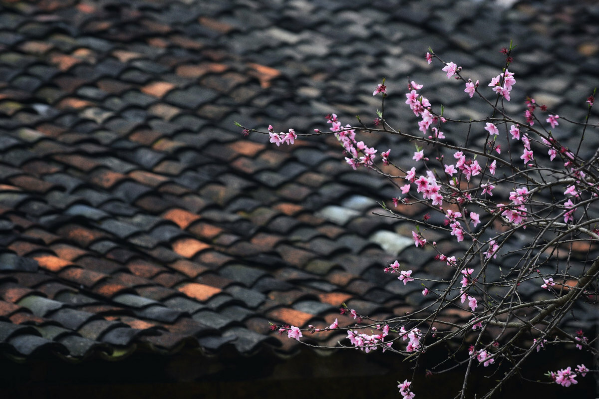 Spring in Pho Bang ancient town