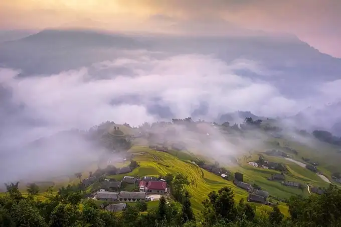 Hoang Su Phi