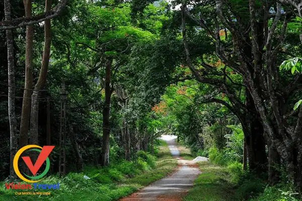 Cuc Phuong National Park