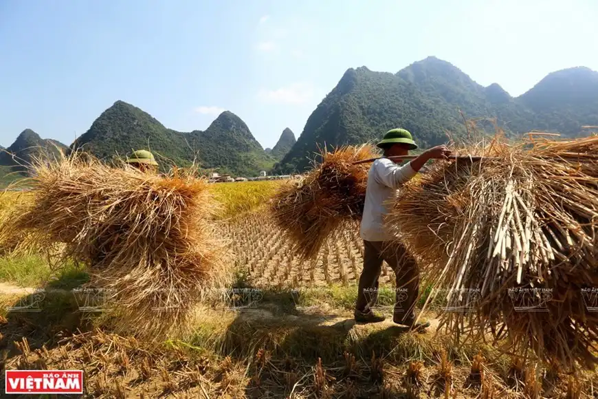 Non Nuoc Cao Bang, a land of amazing landscapes