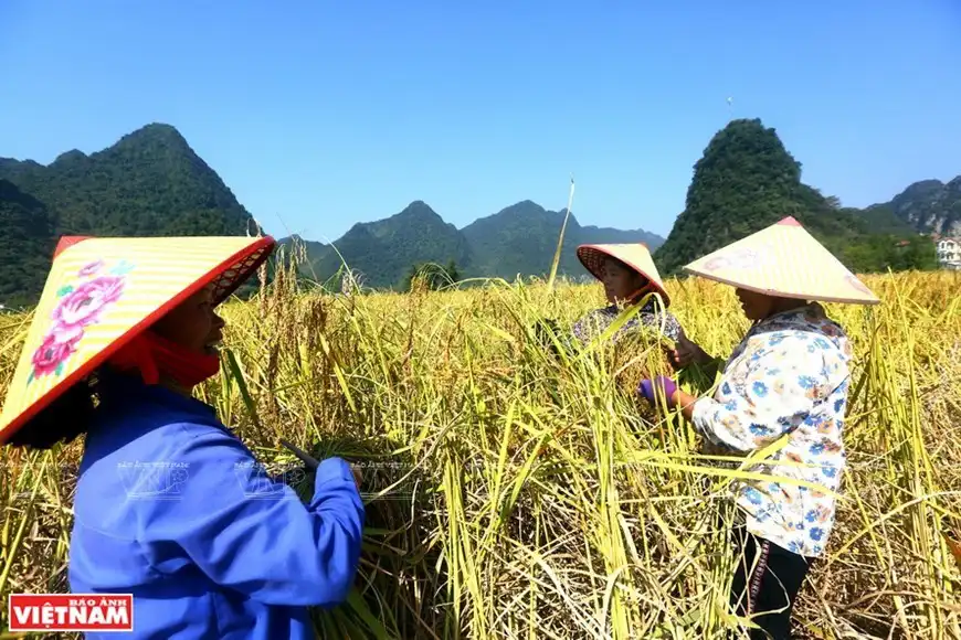 Non Nuoc Cao Bang, a land of amazing landscapes