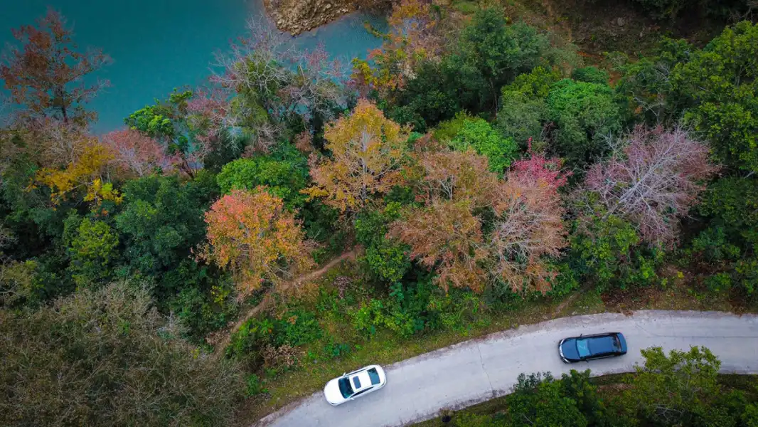 Maple tree colors transform landscape in northern Vietnam district 
