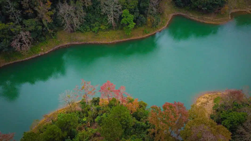 Maple tree colors transform landscape in northern Vietnam district - VnExpress International