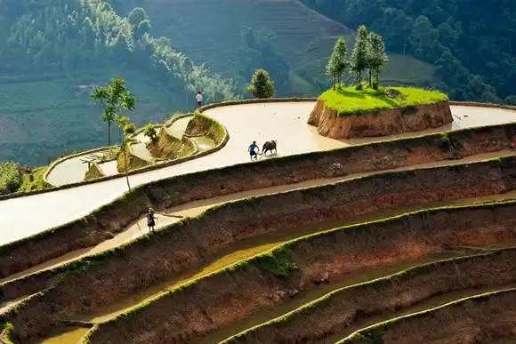 Hoang Su Phi terraced fields