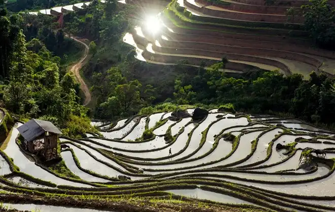 Hoang Su Phi terraced fields