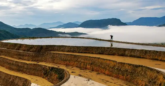 Hoang Su Phi terraced fields