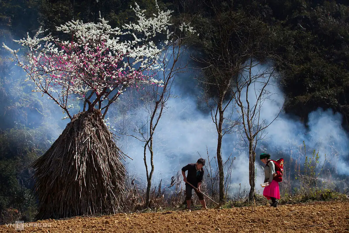 Northern mountainous plateau bursts with spring hues