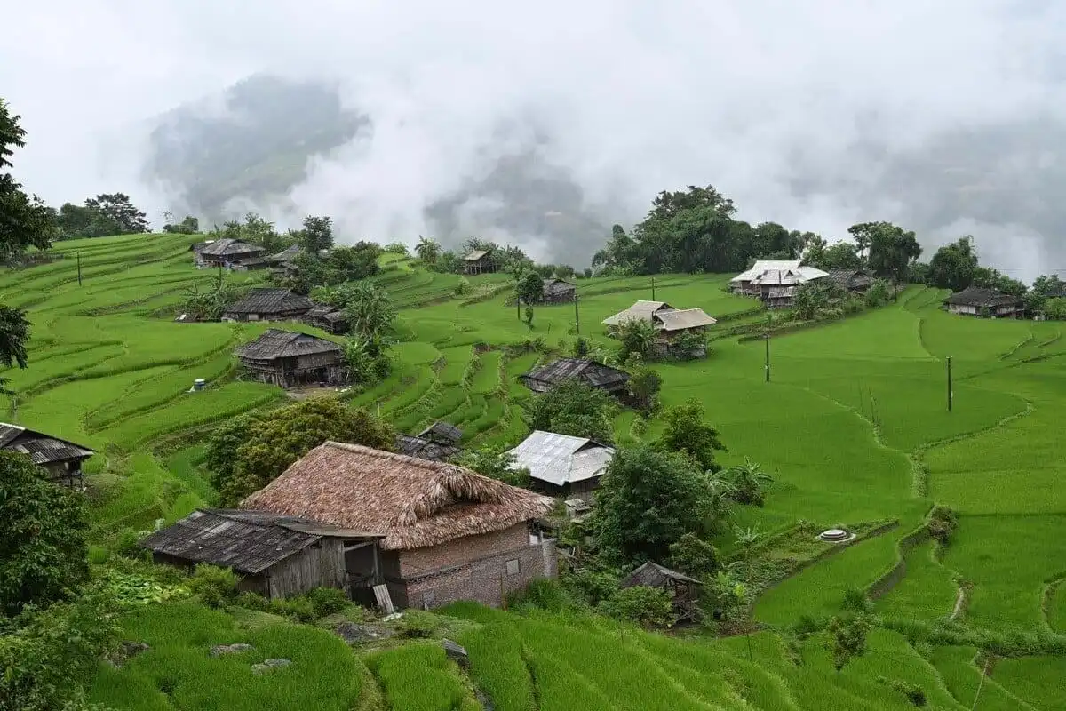 Ban Phung Terraced Fields