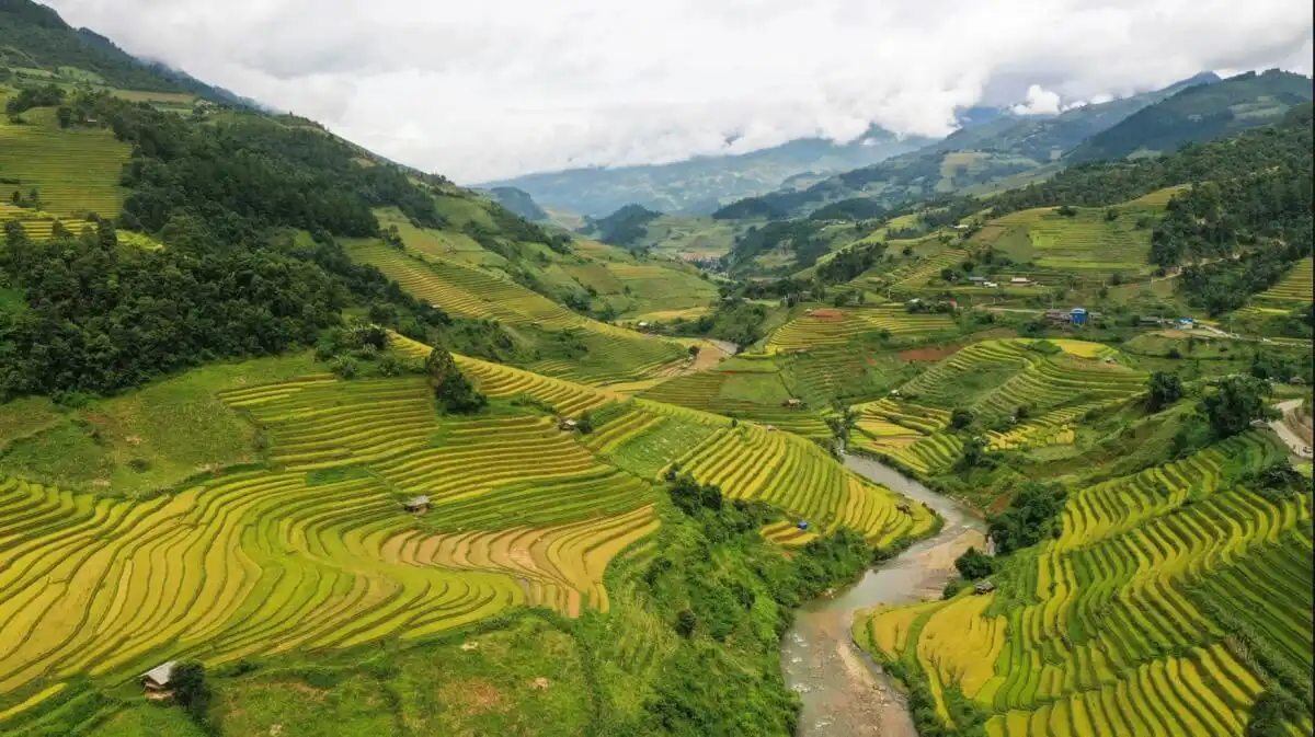 Mu Cang Chai