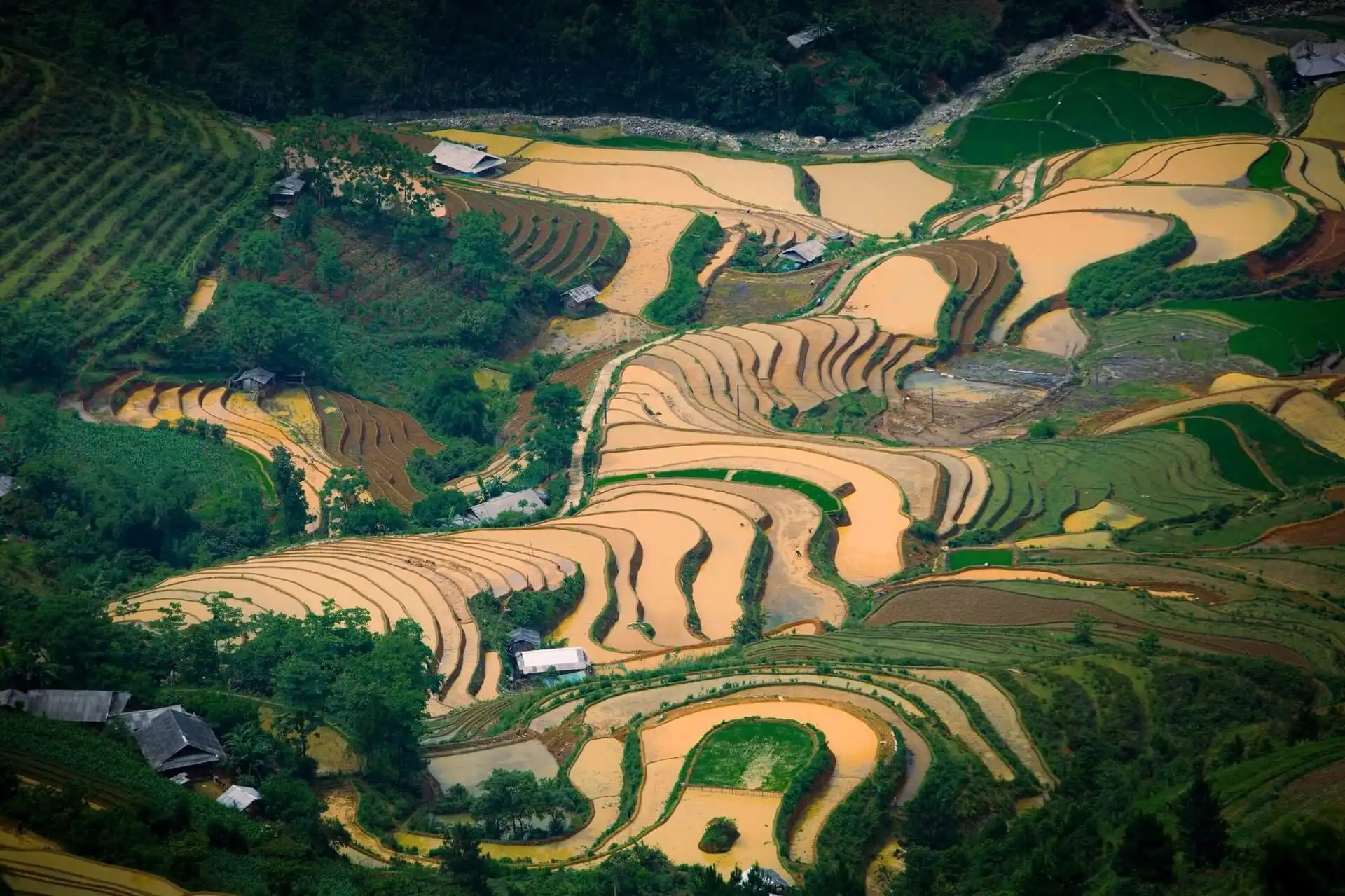 Mu Cang Chai Flooded Season – Best Time to See Vietnam’s Stunning Terraced Fields