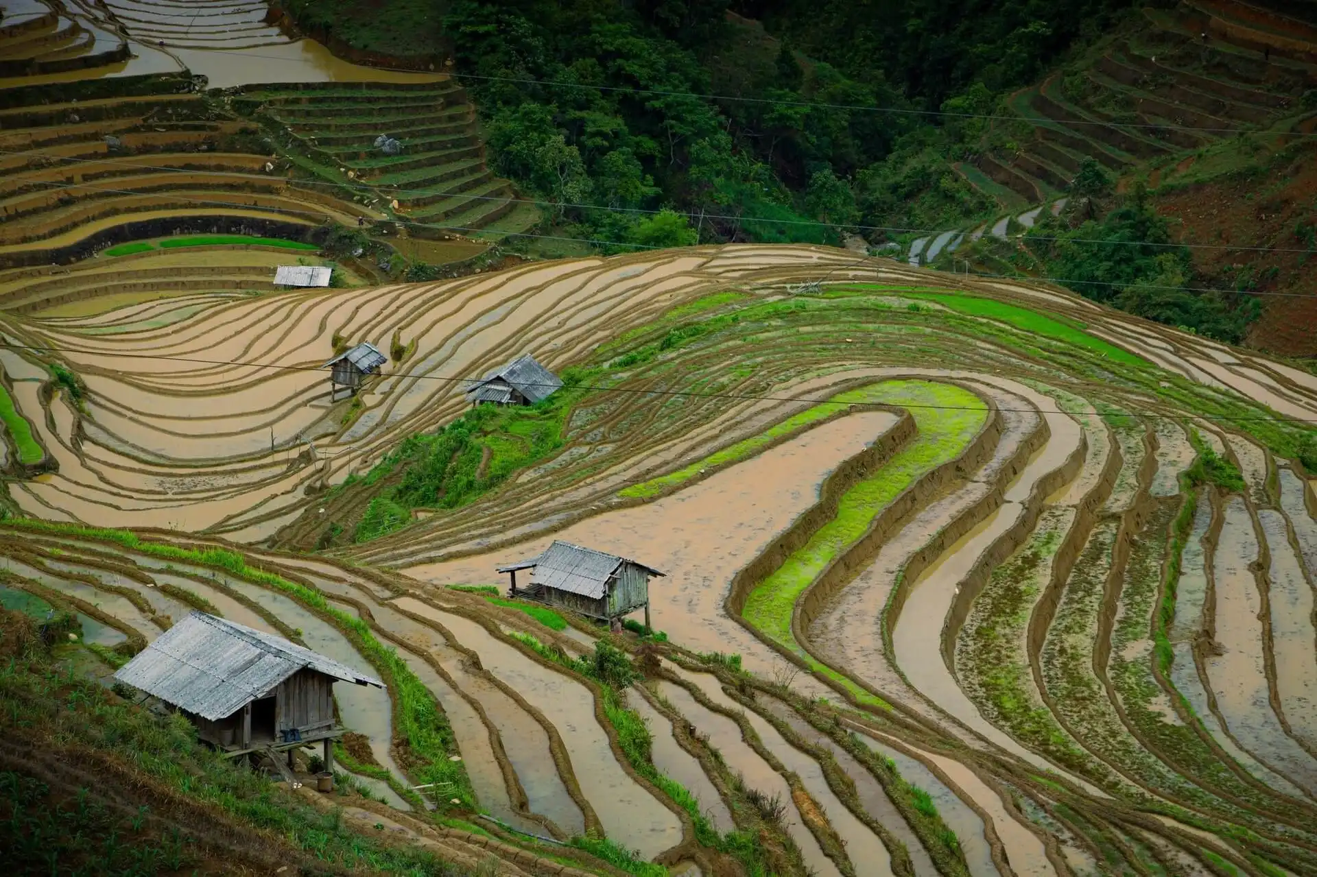 Mu Cang Chai Flooded Season – Best Time to See Vietnam’s Stunning Terraced Fields
