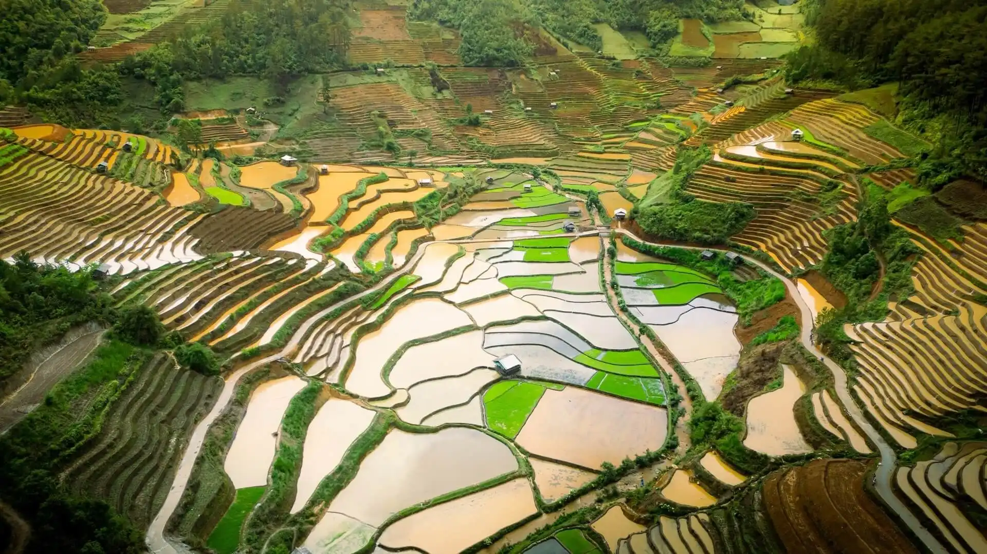 Mu Cang Chai Flooded Season – Best Time to See Vietnam’s Stunning Terraced Fields