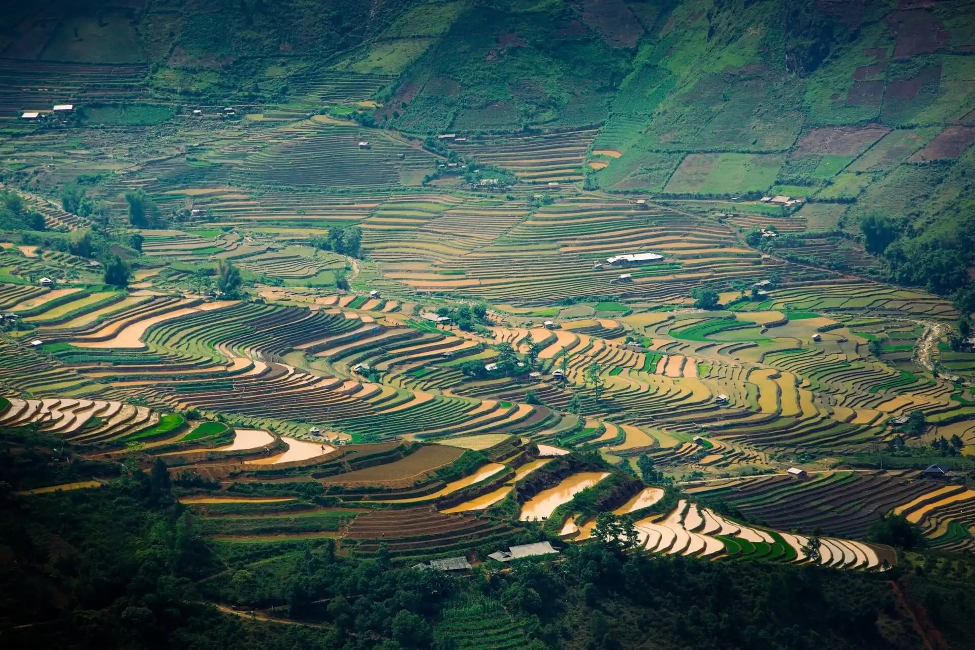 Mu Cang Chai Flooded Season – Best Time to See Vietnam’s Stunning Terraced Fields