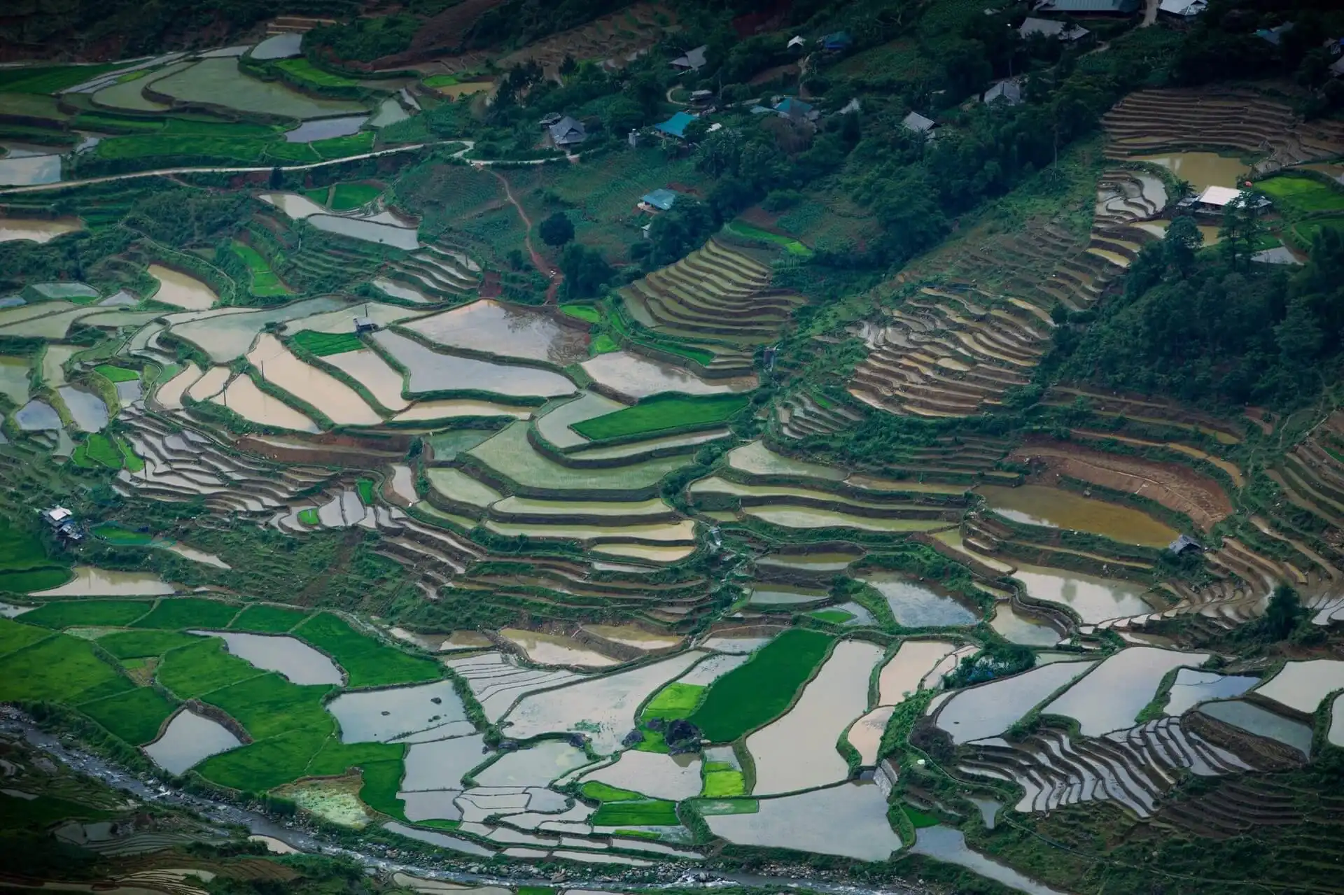 Mu Cang Chai Flooded Season – Best Time to See Vietnam’s Stunning Terraced Fields