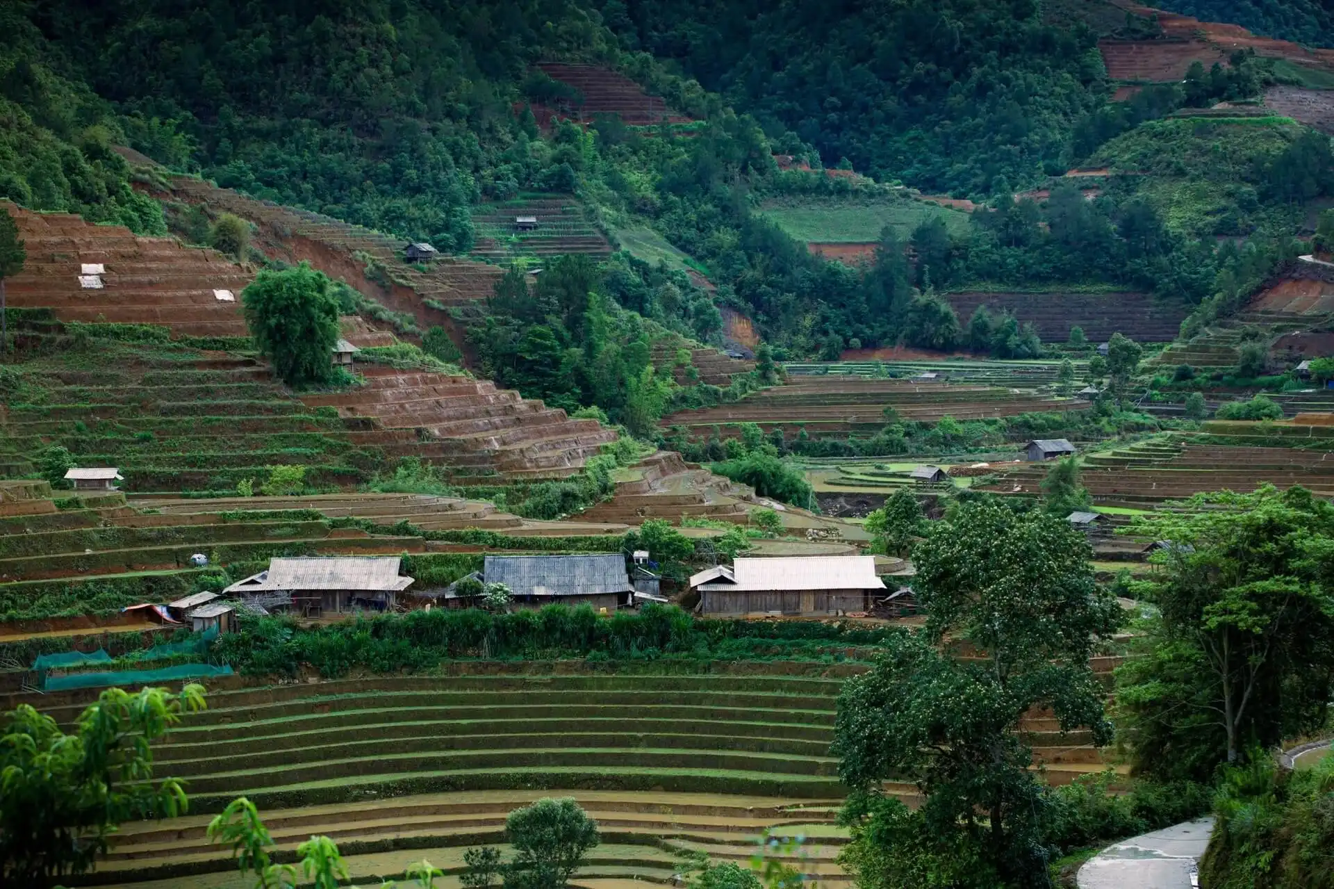 Mu Cang Chai Flooded Season – Best Time to See Vietnam’s Stunning Terraced Fields