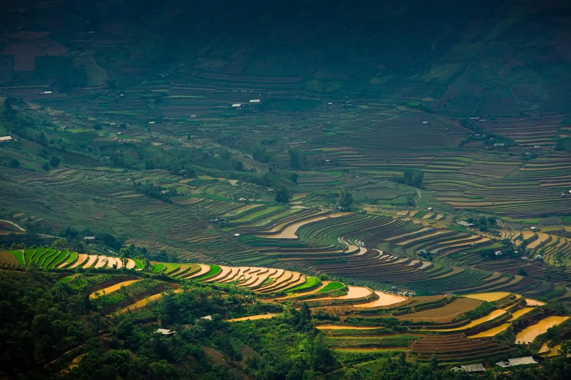 Mu Cang Chai Flooded Season – Best Time to See Vietnam’s Stunning Terraced Fields