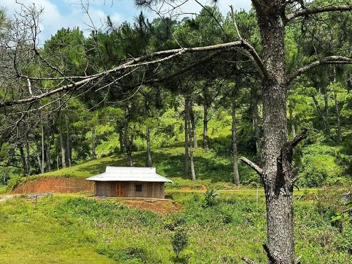 Phan Thanh Grass Hills – Nguyen Binh, Cao Bang