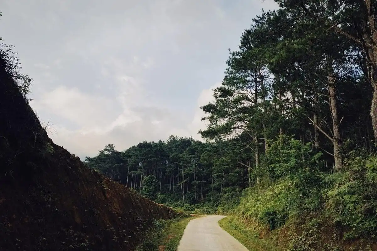 Phan Thanh Grass Hills – Nguyen Binh, Cao Bang