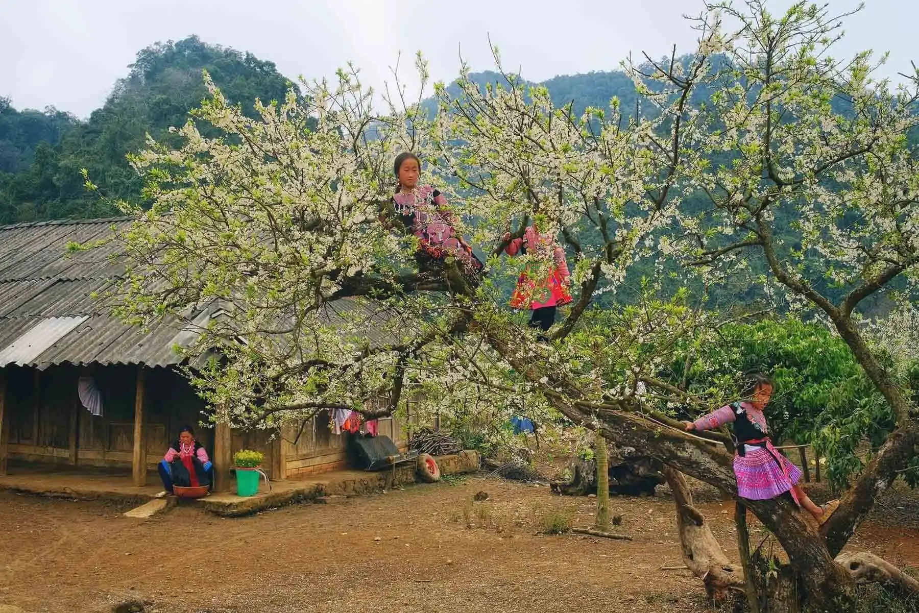 Daily life of the Hmong people