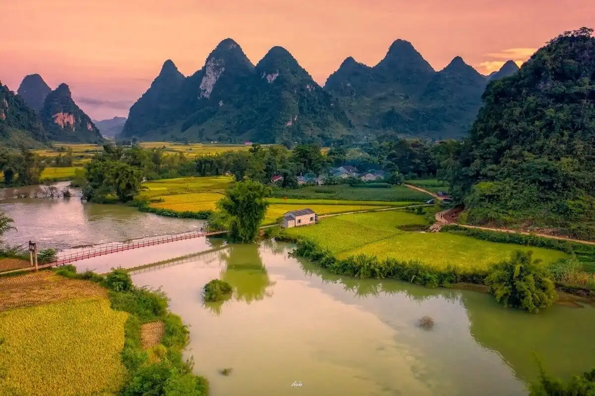 Phong Nam Golden Season