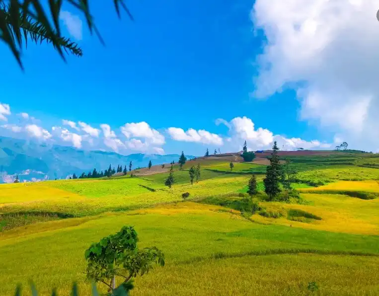 Suoi Thau Steppe – The Hidden Switzerland of Ha Giang
