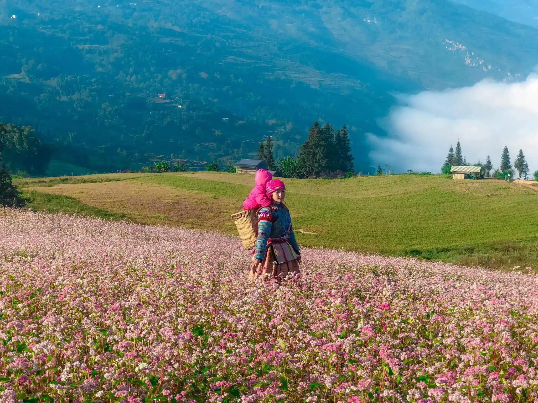 Suoi Thau Steppe – The Hidden Switzerland of Ha Giang