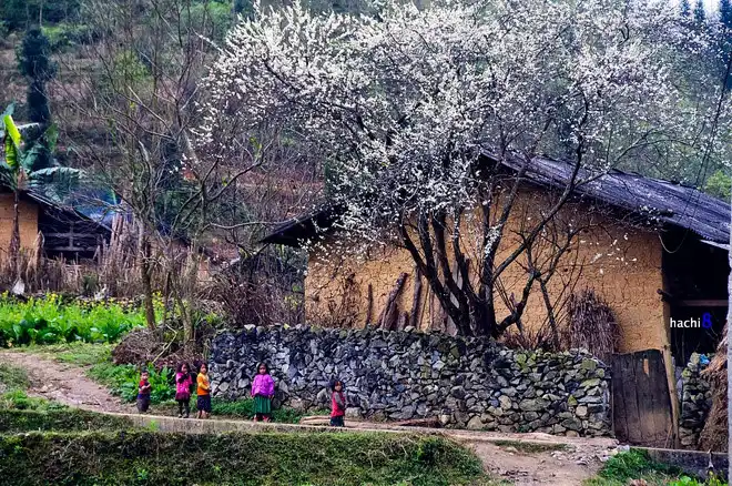 Dong Van Trekking Tour - Vision Travel
