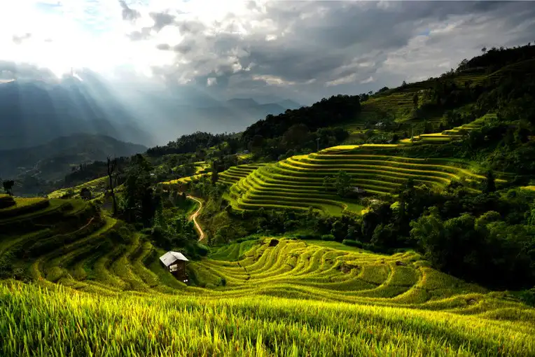 Hoang Su Phi Trekking Tour - Vision Travel