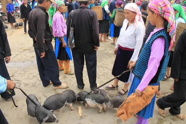 Meo Vac sunday market