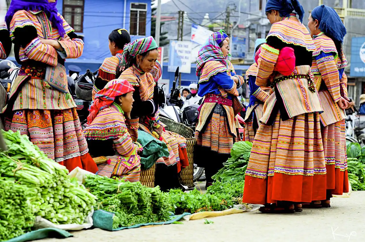 Fresh vegetable sold at the market