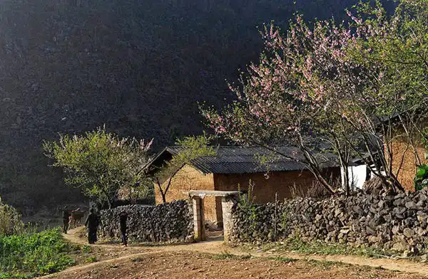 Dong Van Trekking Tour - Vision Travel