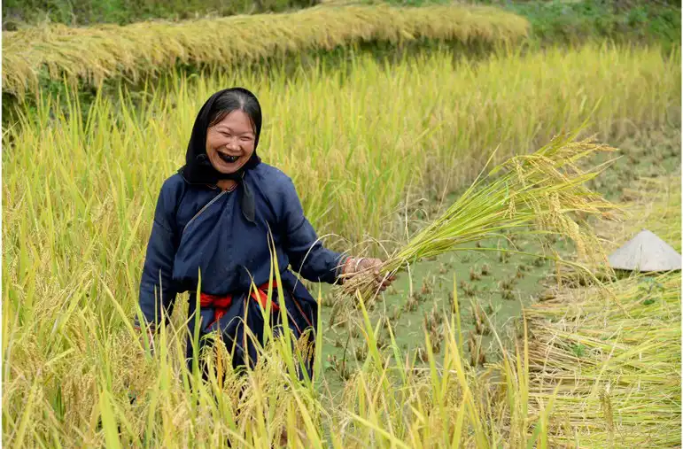 Hoang Su Phi Trekking Tour - Vision Travel