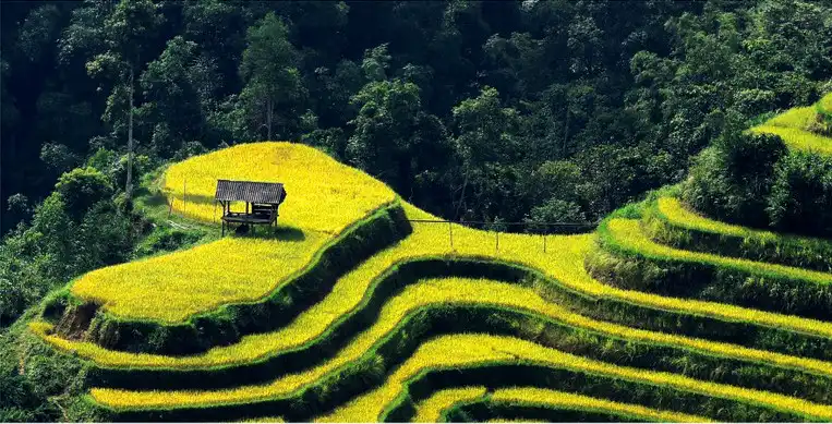 The farmers make themselves as the artists when creating a heart on the mountains