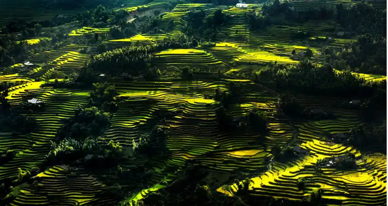 Hoang Su Phi Trekking Tour - Vision Travel