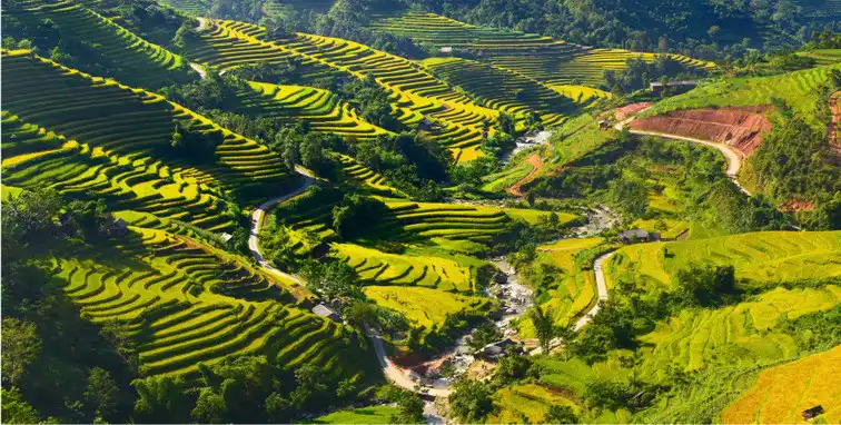 Hoang Su Phi Trekking Tour - Vision Travel