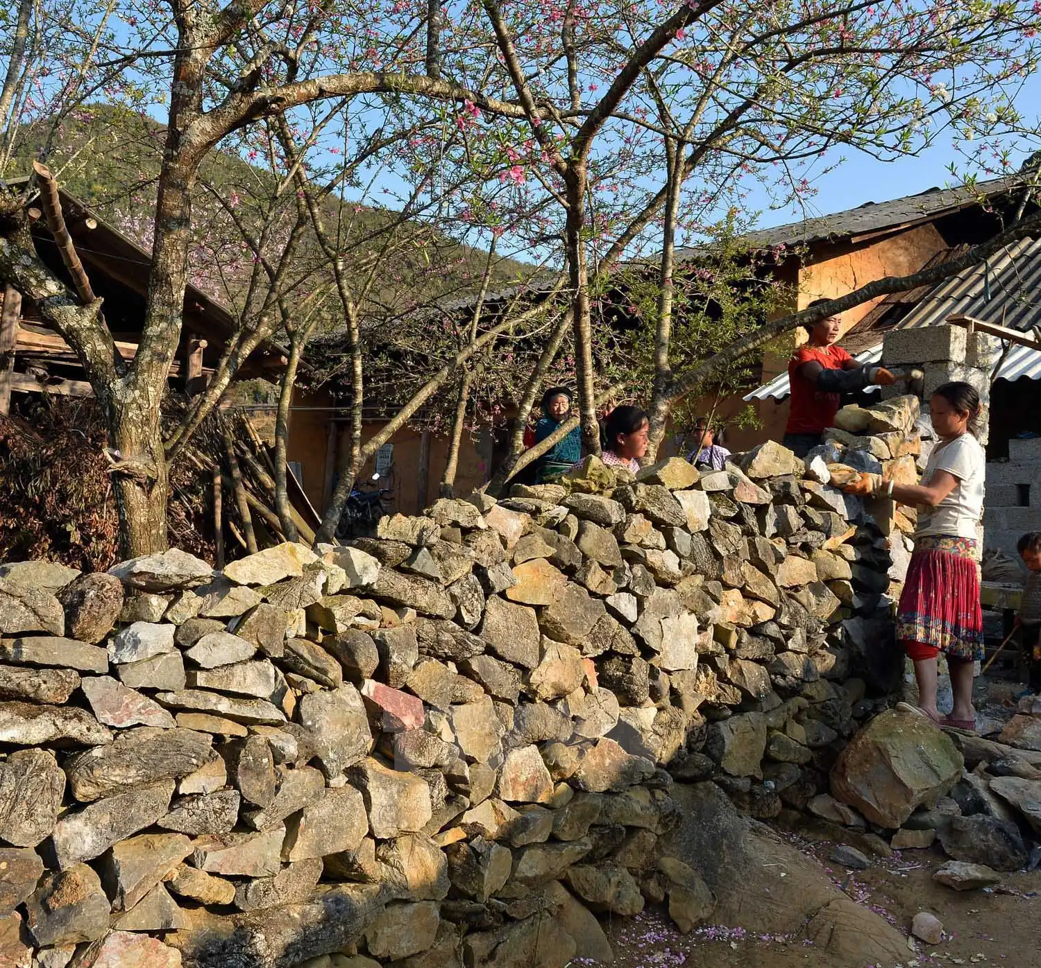 Dong Van Trekking Tour - Vision Travel